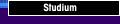 Studium
